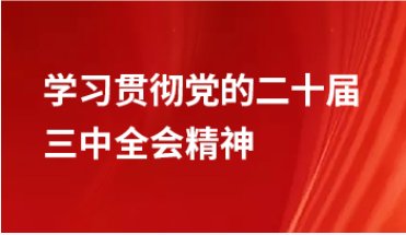 对照阅读